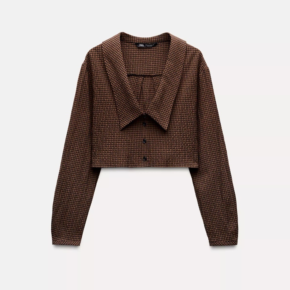 Zara Brown Checkered Cropped Top